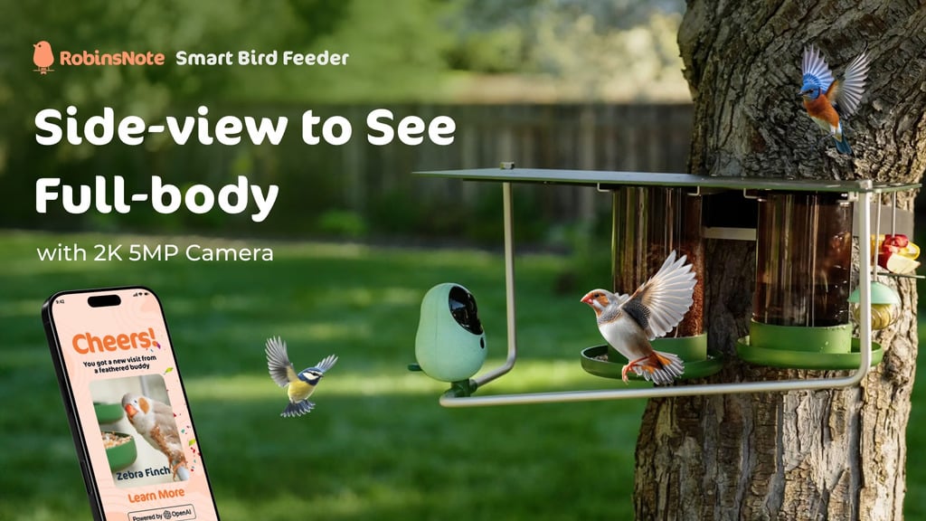 RobinsNote Smart Feeder: For Birds, By Birds, With Birds