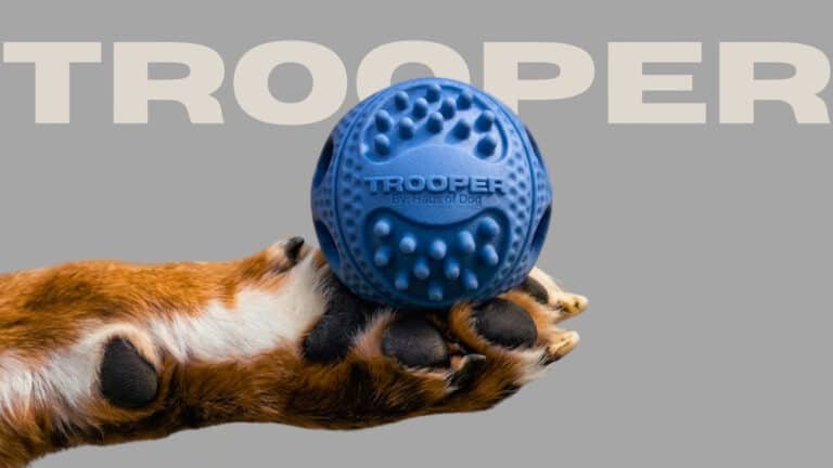 TROOPER | The Ball Your Dog’s Been Waiting For.